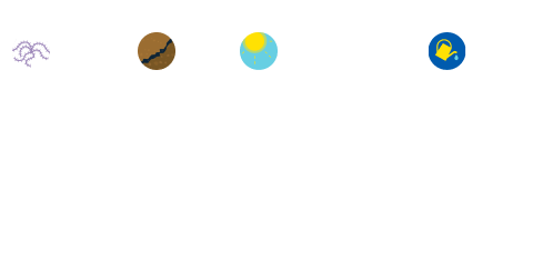 But we must also observe the weeds, soil, sunlight, and water across the whole garden-ACEs and PCEs surveillance across the whole community or population. That way, we can understand how to prevent obstacles to growth and encourage healthy outcomes for everyone.